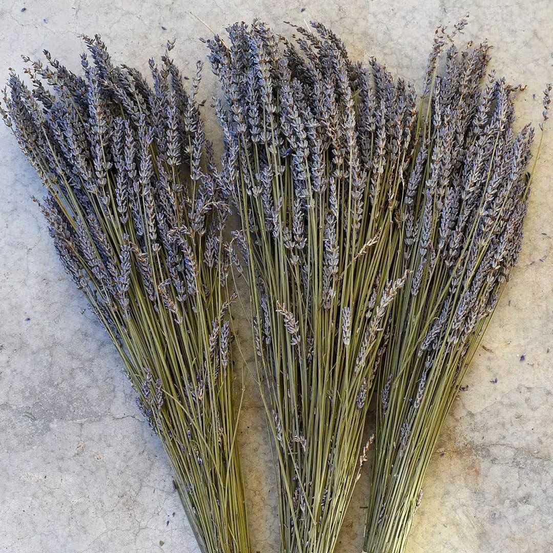 Dried French Lavender - BLOOMINGFUL.COM - wedding, event, decor, gift, bouquet, arrangement, bridal, garland, fresh dried preserved artificial silk, birthday housewarming foliage