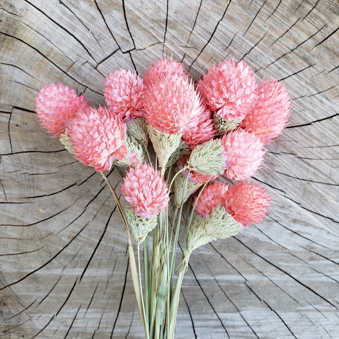 dried dusty pink rose flowers preserved artificial silk, globe amaranthus, wedding, event, bouquet, arrangement, bridal, décor, gift, bloomingful