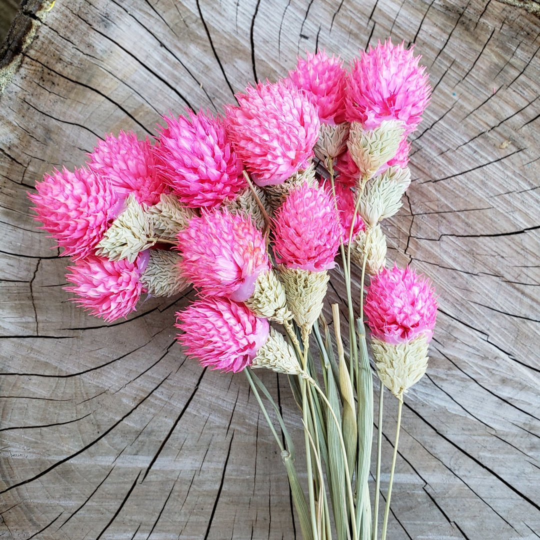 dried hot pink flowers preserved artificial silk, globe amaranthus, wedding, event, bouquet, arrangement, bridal, décor, gift, bloomingful