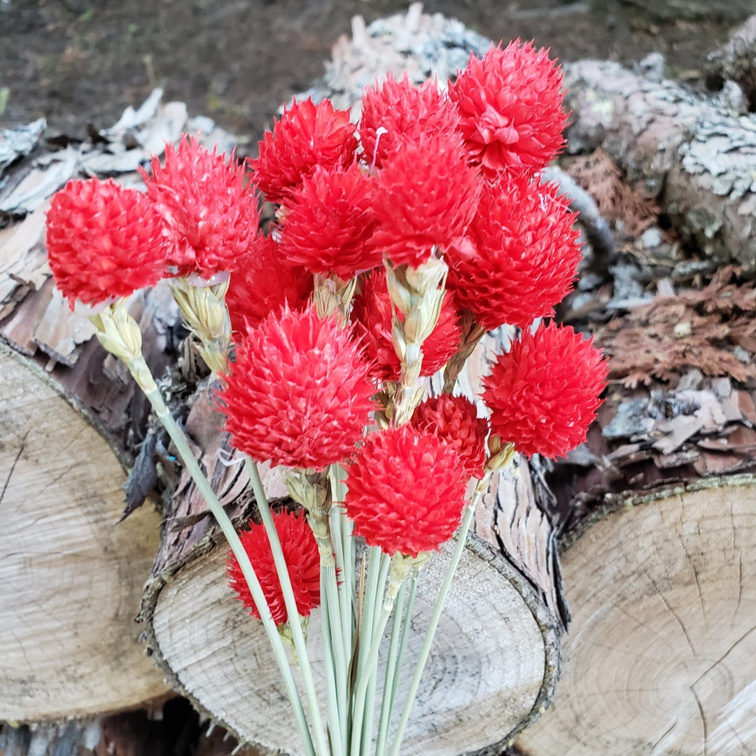 dried red flowers preserved artificial silk, globe amaranthus, wedding, event, bouquet, arrangement, bridal, décor, gift, bloomingful