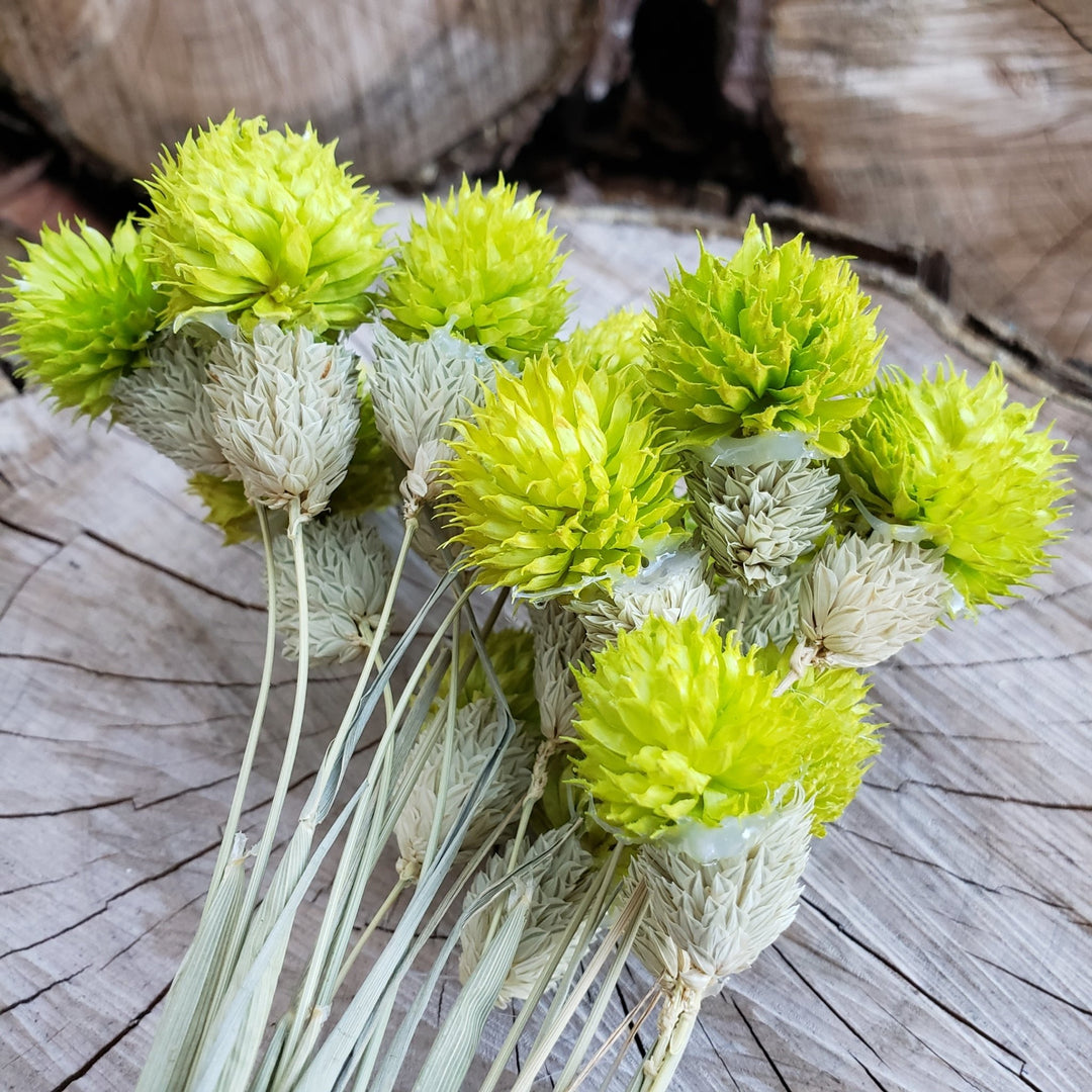 dried spring lime green flowers preserved artificial silk, globe amaranthus, wedding, event, bouquet, arrangement, bridal, décor, gift, bloomingful