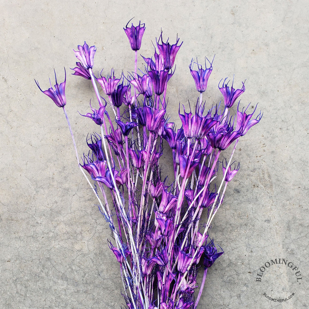 Dried Nigella Flowers - Purple Orchid (020) - BLOOMINGFUL - wedding, event, decor, gift, bouquet, arrangement, bridal, garland, fresh dried preserved artificial silk, birthday housewarming foliage