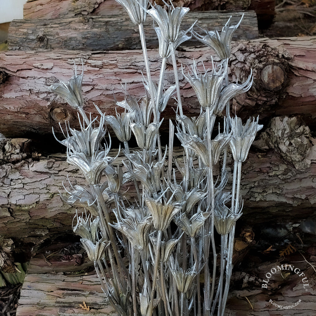 Dried Nigella Flowers - Silver (037) - BLOOMINGFUL - wedding, event, decor, gift, bouquet, arrangement, bridal, garland, fresh dried preserved artificial silk, birthday housewarming foliage