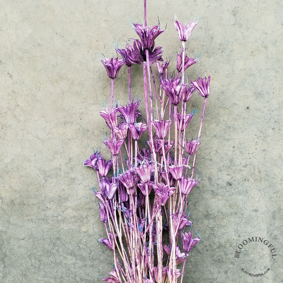 Dried Nigella Flowers - Soft Purple (018) - BLOOMINGFUL - wedding, event, decor, gift, bouquet, arrangement, bridal, garland, fresh dried preserved artificial silk, birthday housewarming foliage