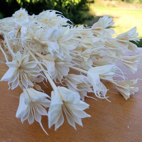 Dried Nigella Flowers - White (034) - BLOOMINGFUL - wedding, event, decor, gift, bouquet, arrangement, bridal, garland, fresh dried preserved artificial silk, birthday housewarming foliage