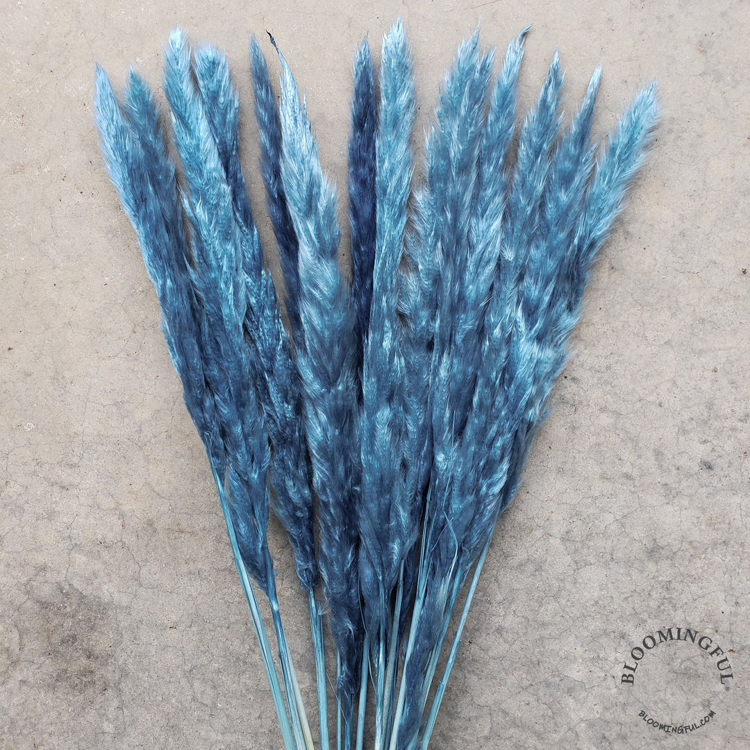 Dried Pampas Grass, Small 20-28" - Dusty Blue (019) - BLOOMINGFUL - wedding, event, decor, gift, bouquet, arrangement, bridal, garland, fresh dried preserved artificial silk, birthday housewarming foliage