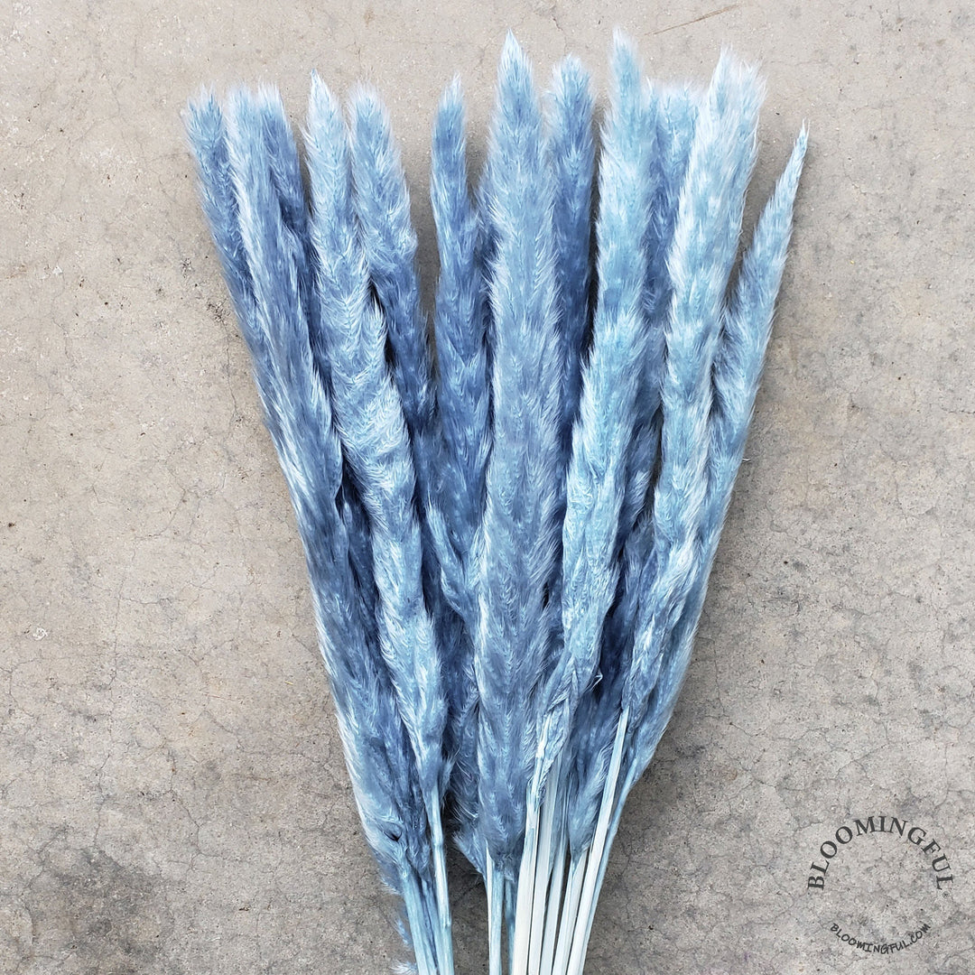 Dried Pampas Grass, Small 20-28" - Dusty Blue (022) - BLOOMINGFUL - wedding, event, decor, gift, bouquet, arrangement, bridal, garland, fresh dried preserved artificial silk, birthday housewarming foliage