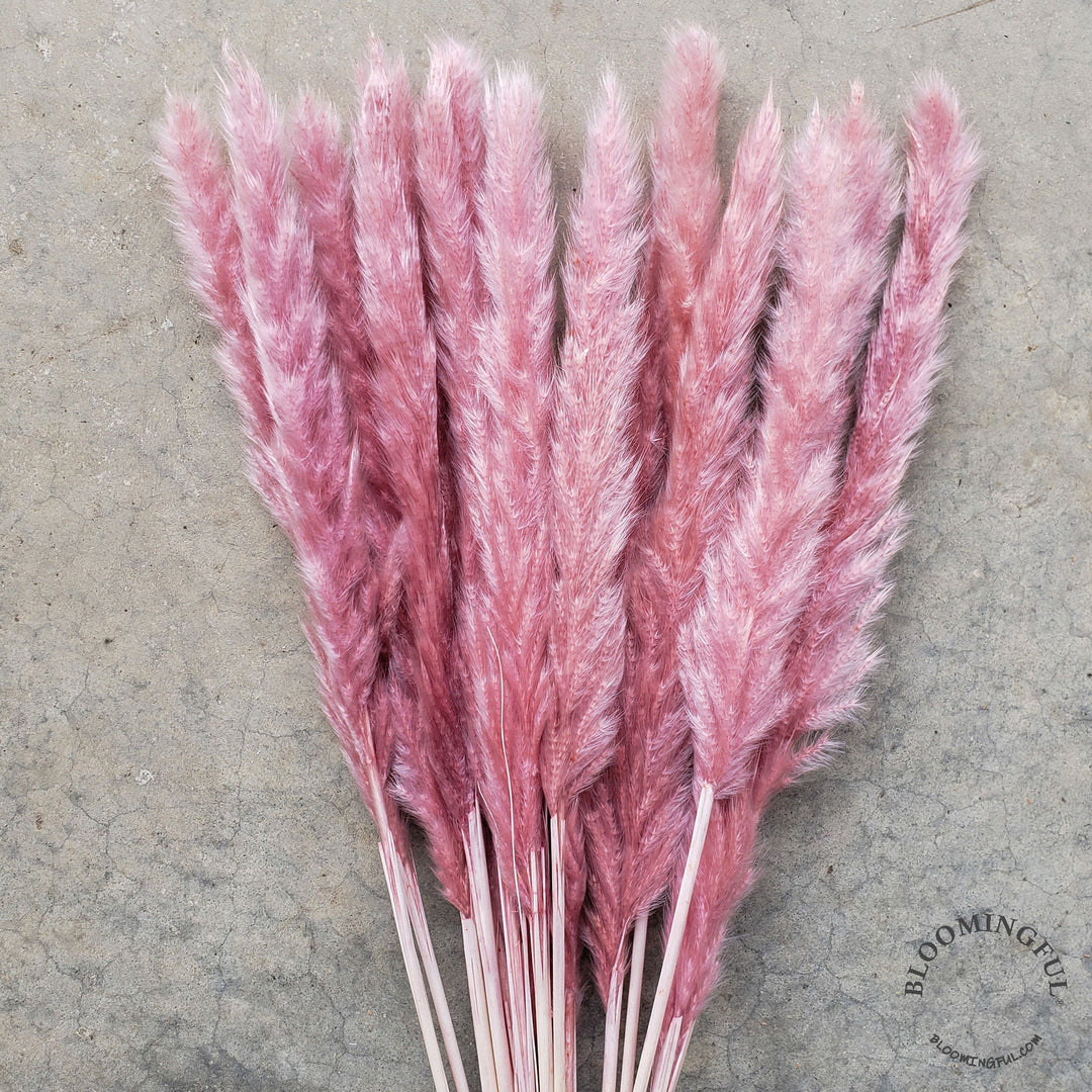 Dried Pampas Grass, Small 20-28" - Dusty Pink Mauve (018) - BLOOMINGFUL - wedding, event, decor, gift, bouquet, arrangement, bridal, garland, fresh dried preserved artificial silk, birthday housewarming foliage