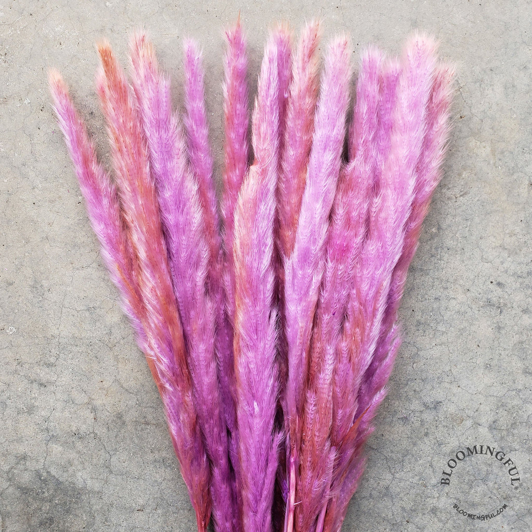 Dried Pampas Grass, Small 20-28" - Lavender Rose (010) - BLOOMINGFUL - wedding, event, decor, gift, bouquet, arrangement, bridal, garland, fresh dried preserved artificial silk, birthday housewarming foliage