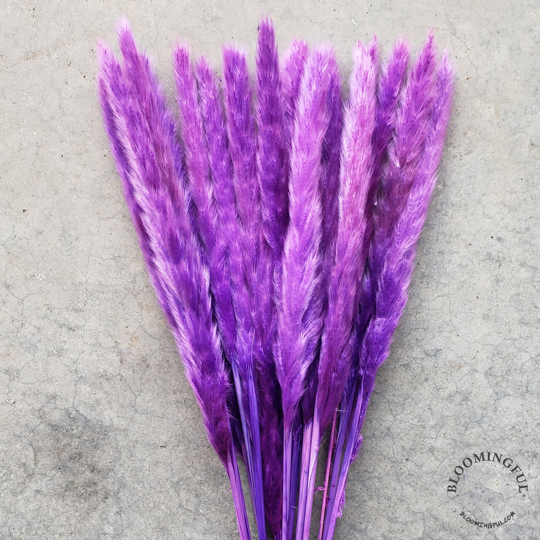 Dried Pampas Grass, Small 20-28" - Purple (014) - BLOOMINGFUL - wedding, event, decor, gift, bouquet, arrangement, bridal, garland, fresh dried preserved artificial silk, birthday housewarming foliage