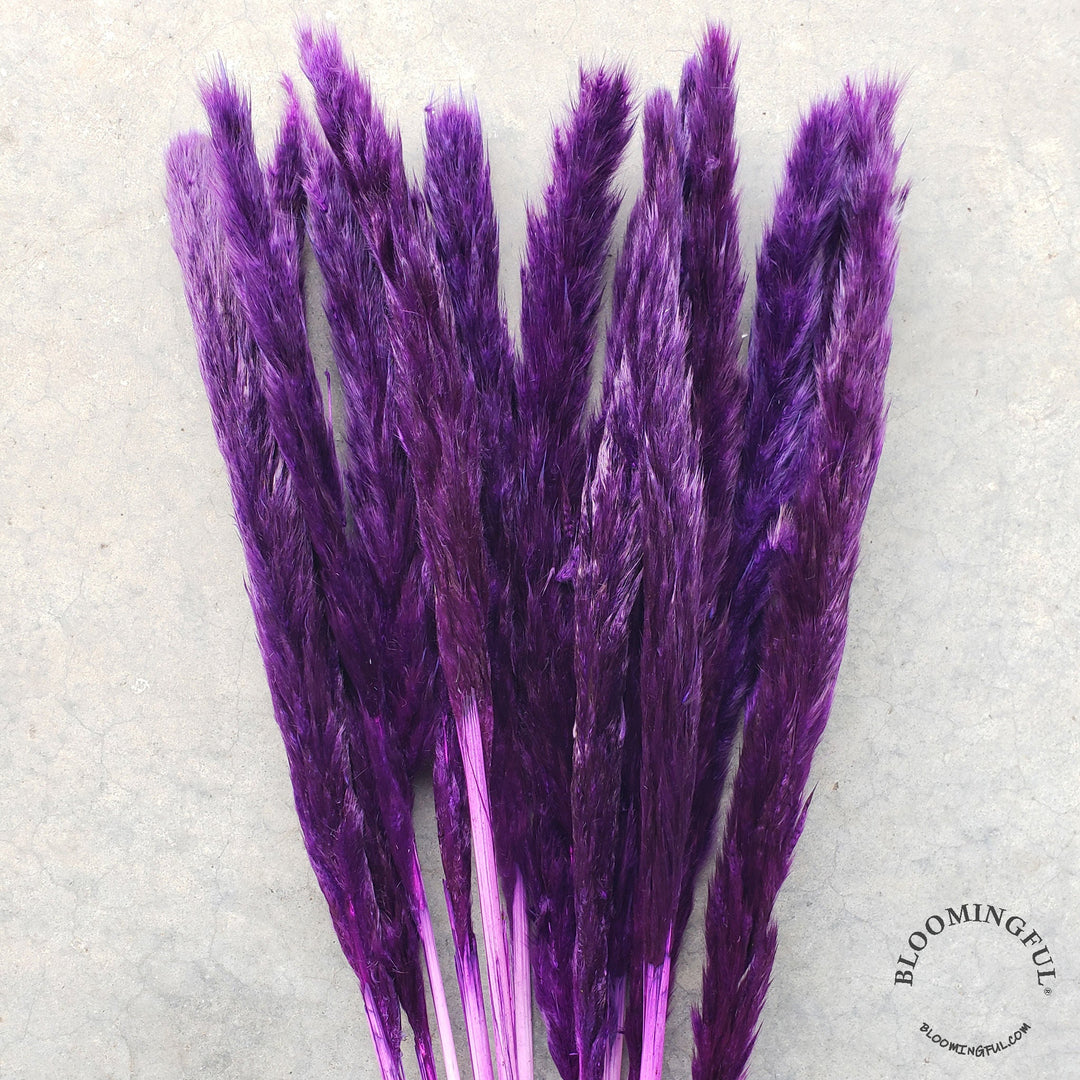 Dried Pampas Grass, Small 20-28" - Purple Amethyst (009) - BLOOMINGFUL - wedding, event, decor, gift, bouquet, arrangement, bridal, garland, fresh dried preserved artificial silk, birthday housewarming foliage