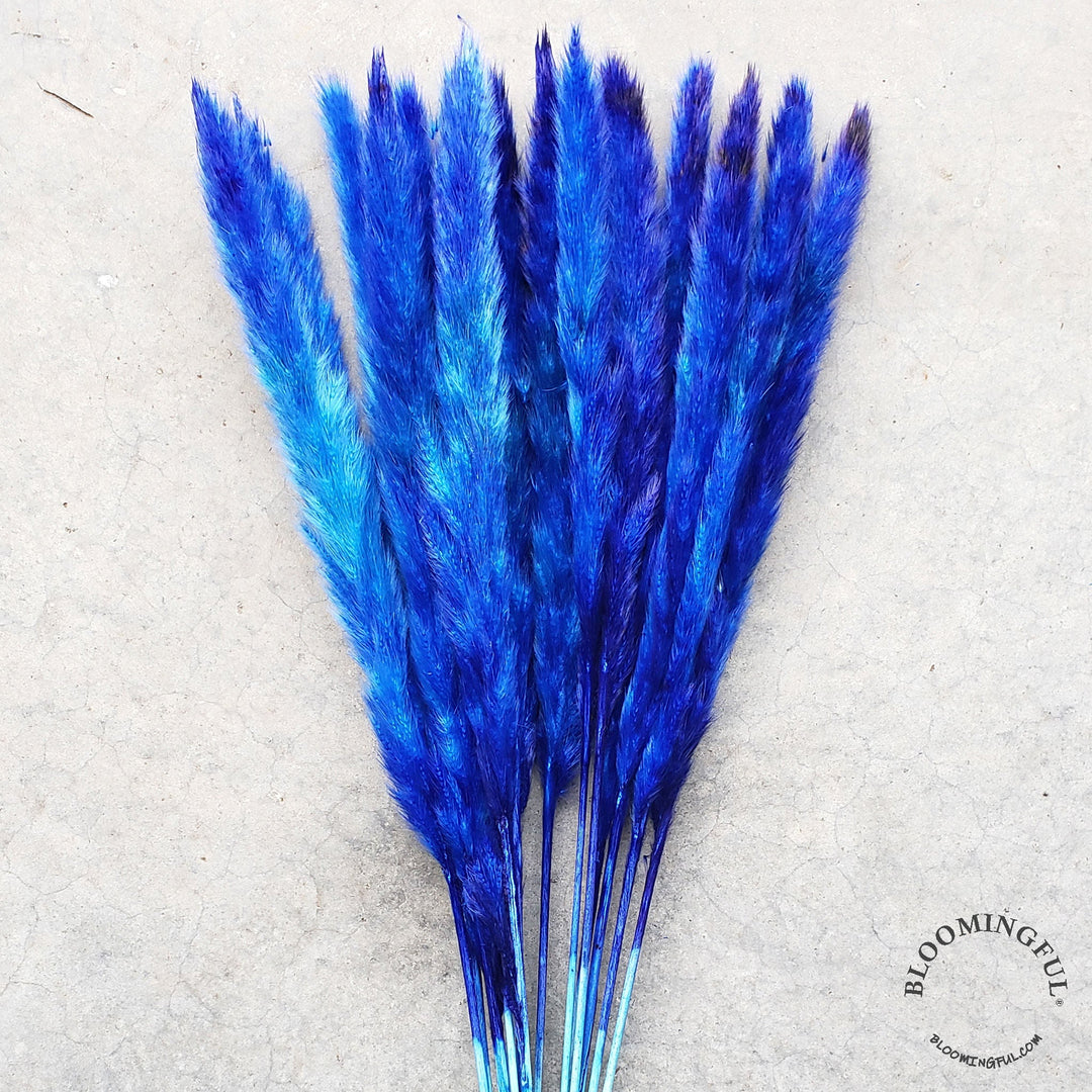 Dried Pampas Grass, Small 20-28" - Sapphire Blue (028) - BLOOMINGFUL - wedding, event, decor, gift, bouquet, arrangement, bridal, garland, fresh dried preserved artificial silk, birthday housewarming foliage