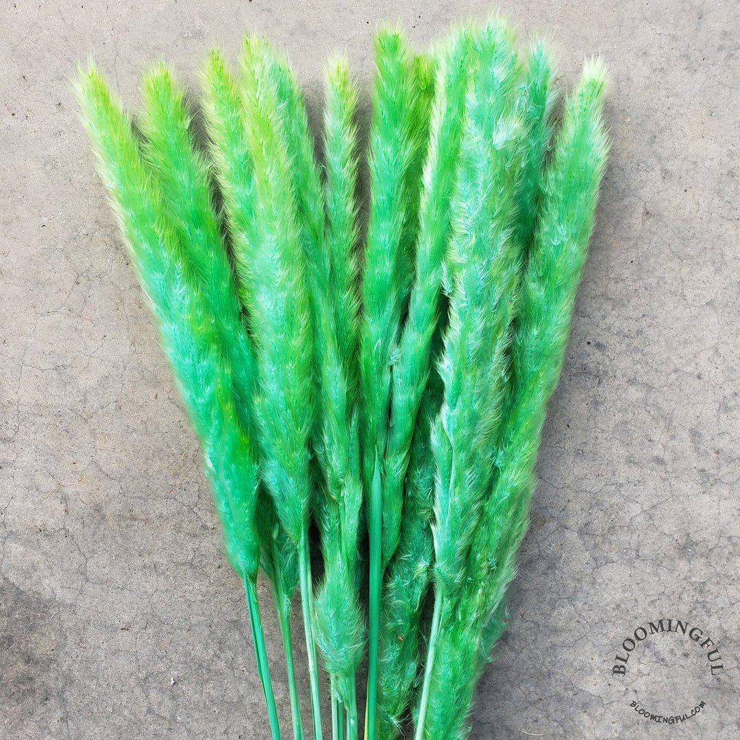 Dried Pampas Grass, Small 20-28" - Sea Green (031) - BLOOMINGFUL - wedding, event, decor, gift, bouquet, arrangement, bridal, garland, fresh dried preserved artificial silk, birthday housewarming foliage