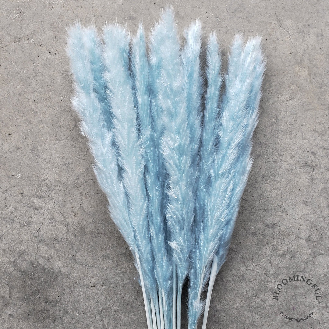 Dried Pampas Grass, Small 20-28" - Soft Blue (020) - BLOOMINGFUL - wedding, event, decor, gift, bouquet, arrangement, bridal, garland, fresh dried preserved artificial silk, birthday housewarming foliage