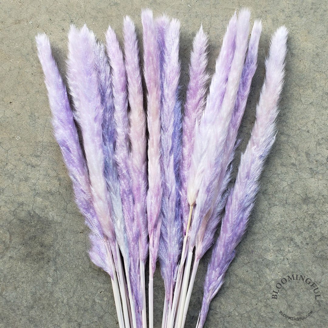 Dried Pampas Grass, Small 20-28" - Soft Purple (008) - BLOOMINGFUL - wedding, event, decor, gift, bouquet, arrangement, bridal, garland, fresh dried preserved artificial silk, birthday housewarming foliage