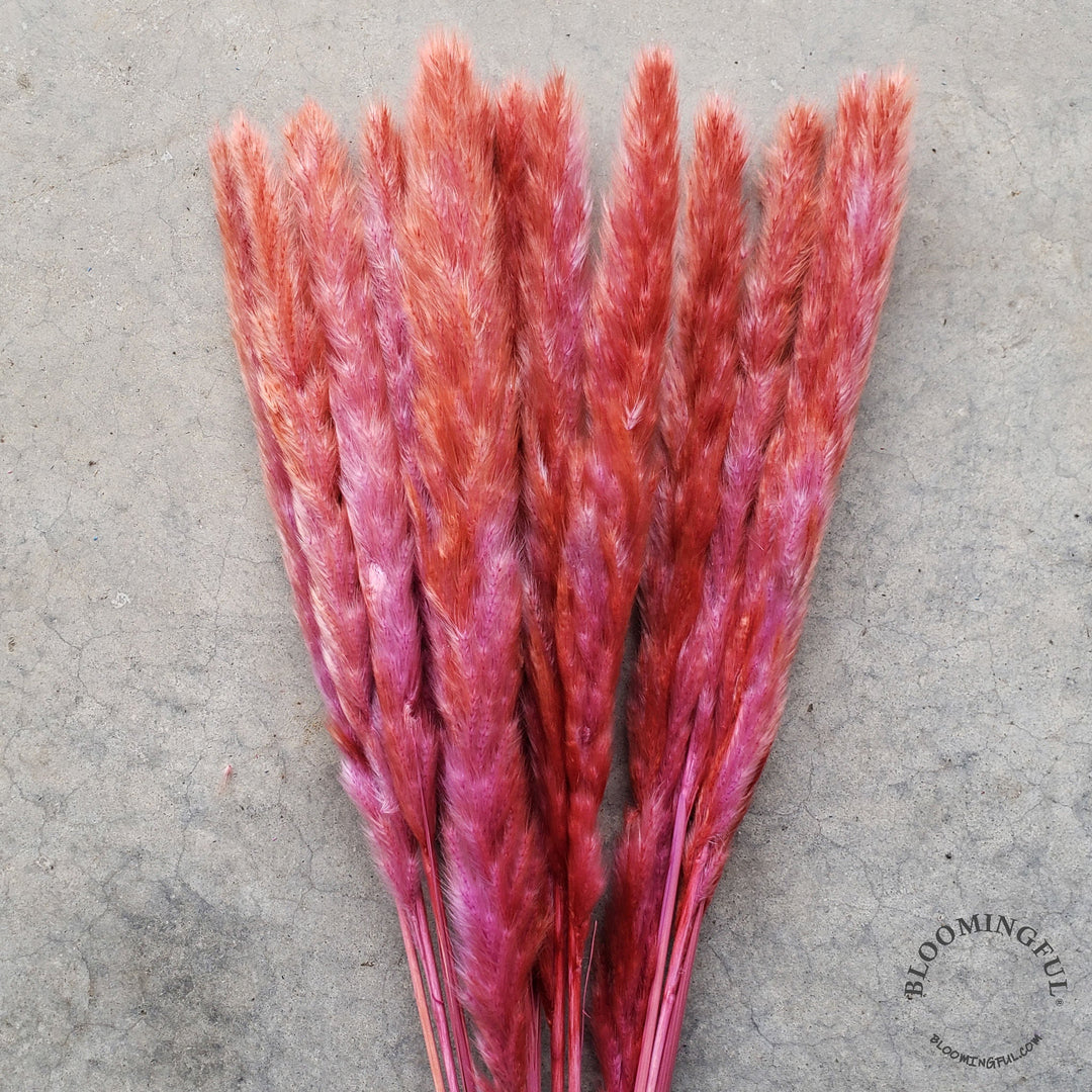 Dried Pampas Grass, Small 20-28" - Terracotta Lavender (011) - BLOOMINGFUL - wedding, event, decor, gift, bouquet, arrangement, bridal, garland, fresh dried preserved artificial silk, birthday housewarming foliage