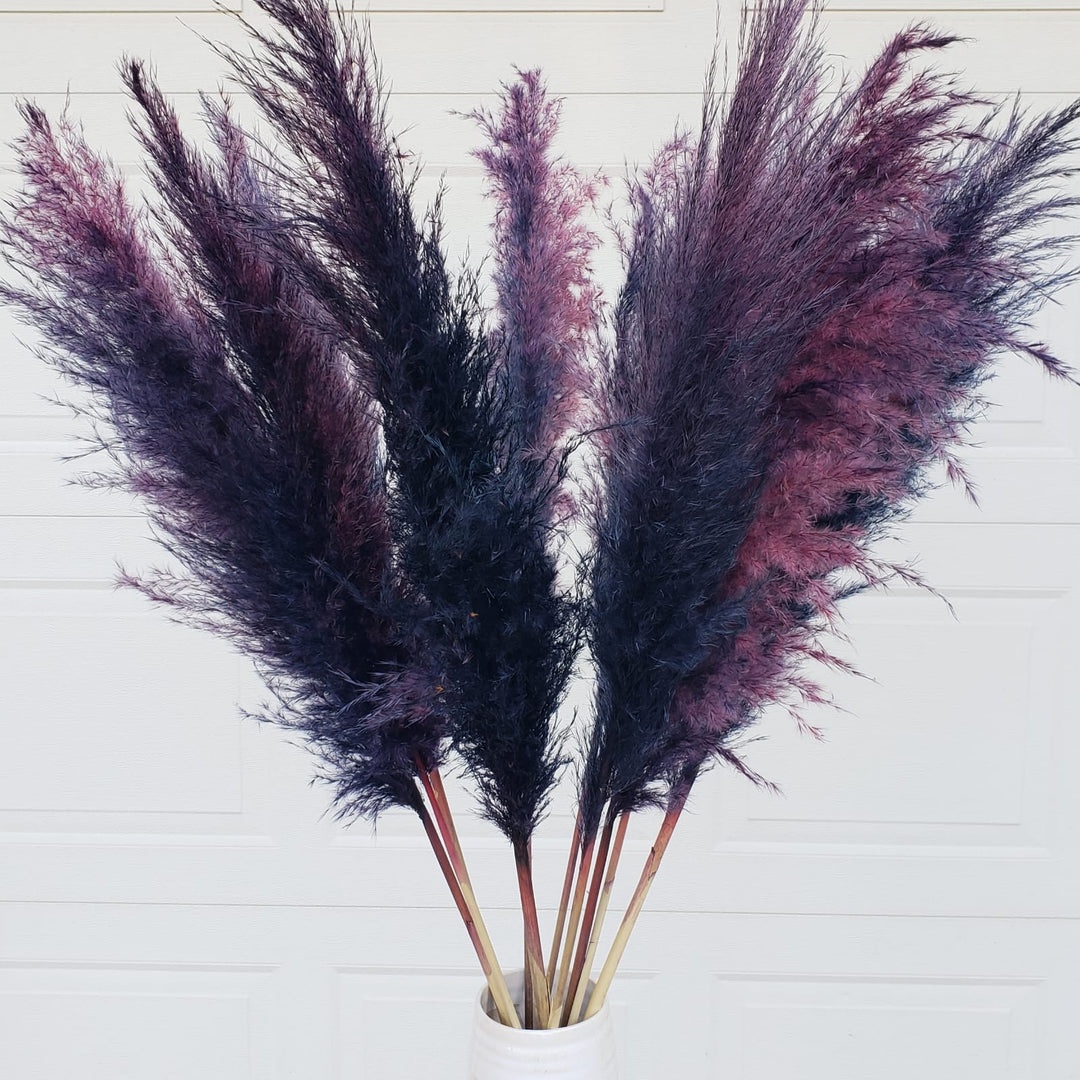 pampas grass dried large fluffy plume feather tall extra jumbo bloomingful florist wholesale bulk wedding event decor gift bouquet arrangement bridal preserved artificial silk birthday housewarming foliage boho rustic white bleached beige natural brown yellow orange red terracotta pink magenta purple blue gray black green dusty