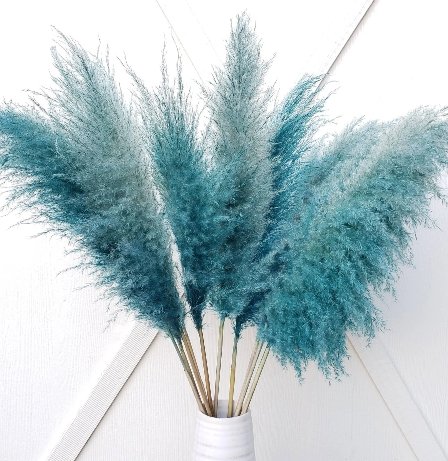 pampas grass dried large fluffy plume feather tall extra jumbo bloomingful florist wholesale bulk wedding event decor gift bouquet arrangement bridal preserved artificial silk birthday housewarming foliage boho rustic white bleached beige natural brown yellow orange red terracotta pink magenta purple blue gray black green dusty