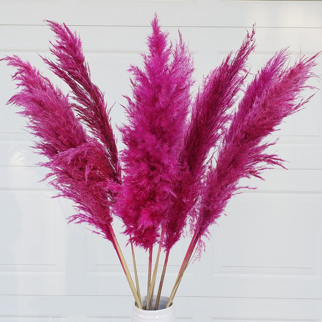 pampas grass dried large fluffy plume feather tall extra jumbo bloomingful florist wholesale bulk wedding event decor gift bouquet arrangement bridal preserved artificial silk birthday housewarming foliage boho rustic white bleached beige natural brown yellow orange red terracotta pink magenta purple blue gray black green dusty