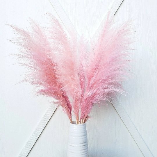 pampas grass dried large fluffy plume feather tall extra jumbo bloomingful florist wholesale bulk wedding event decor gift bouquet arrangement bridal preserved artificial silk birthday housewarming foliage boho rustic white bleached beige natural brown yellow orange red terracotta pink magenta purple blue gray black green dusty