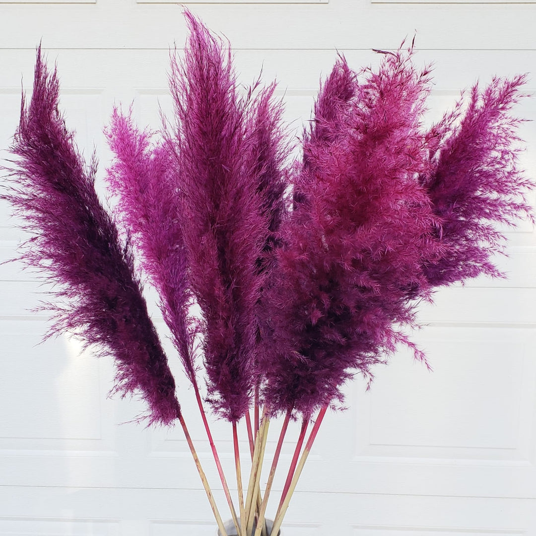 pampas grass dried large fluffy plume feather tall extra jumbo bloomingful florist wholesale bulk wedding event decor gift bouquet arrangement bridal preserved artificial silk birthday housewarming foliage boho rustic white bleached beige natural brown yellow orange red terracotta pink magenta purple blue gray black green dusty