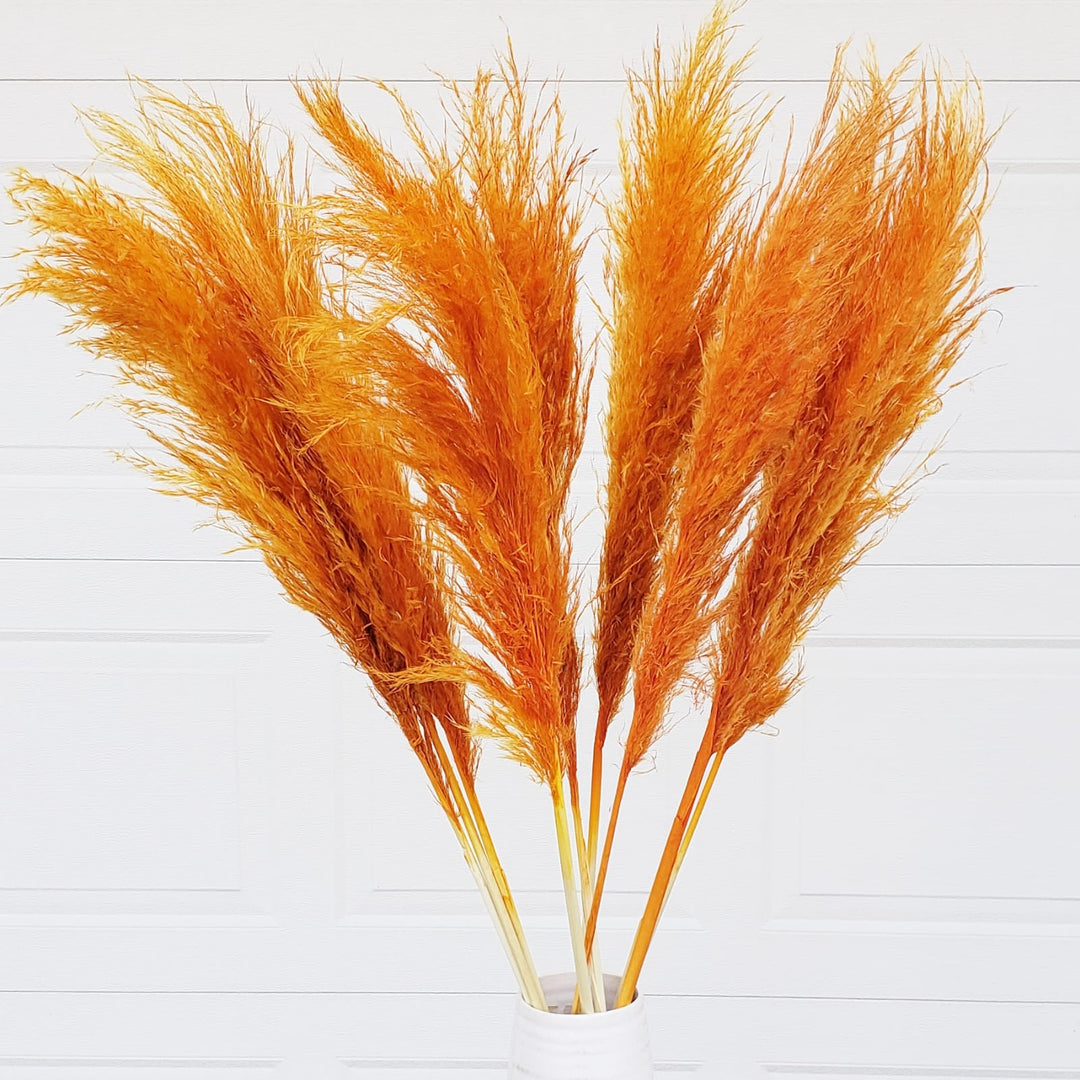 pampas grass dried large fluffy plume feather tall extra jumbo bloomingful florist wholesale bulk wedding event decor gift bouquet arrangement bridal preserved artificial silk birthday housewarming foliage boho rustic white bleached beige natural brown yellow orange red terracotta pink magenta purple blue gray black green dusty