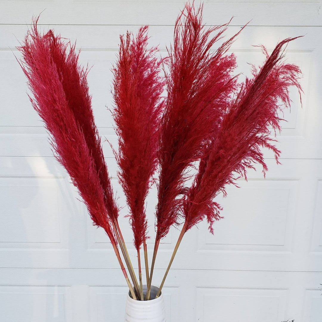 pampas grass dried large fluffy plume feather tall extra jumbo bloomingful florist wholesale bulk wedding event decor gift bouquet arrangement bridal preserved artificial silk birthday housewarming foliage boho rustic white bleached beige natural brown yellow orange red terracotta pink magenta purple blue gray black green dusty