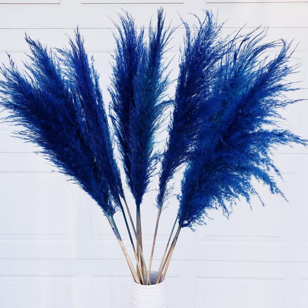 pampas grass dried large fluffy plume feather tall extra jumbo bloomingful florist wholesale bulk wedding event decor gift bouquet arrangement bridal preserved artificial silk birthday housewarming foliage boho rustic white bleached beige natural brown yellow orange red terracotta pink magenta purple blue gray black green dusty
