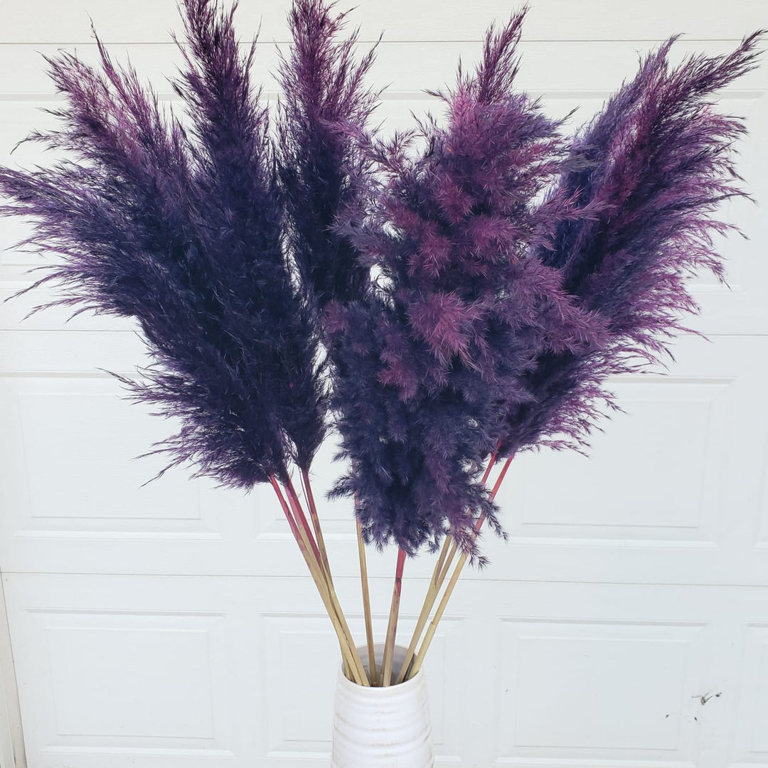 pampas grass dried large fluffy plume feather tall extra jumbo bloomingful florist wholesale bulk wedding event decor gift bouquet arrangement bridal preserved artificial silk birthday housewarming foliage boho rustic white bleached beige natural brown yellow orange red terracotta pink magenta purple blue gray black green dusty