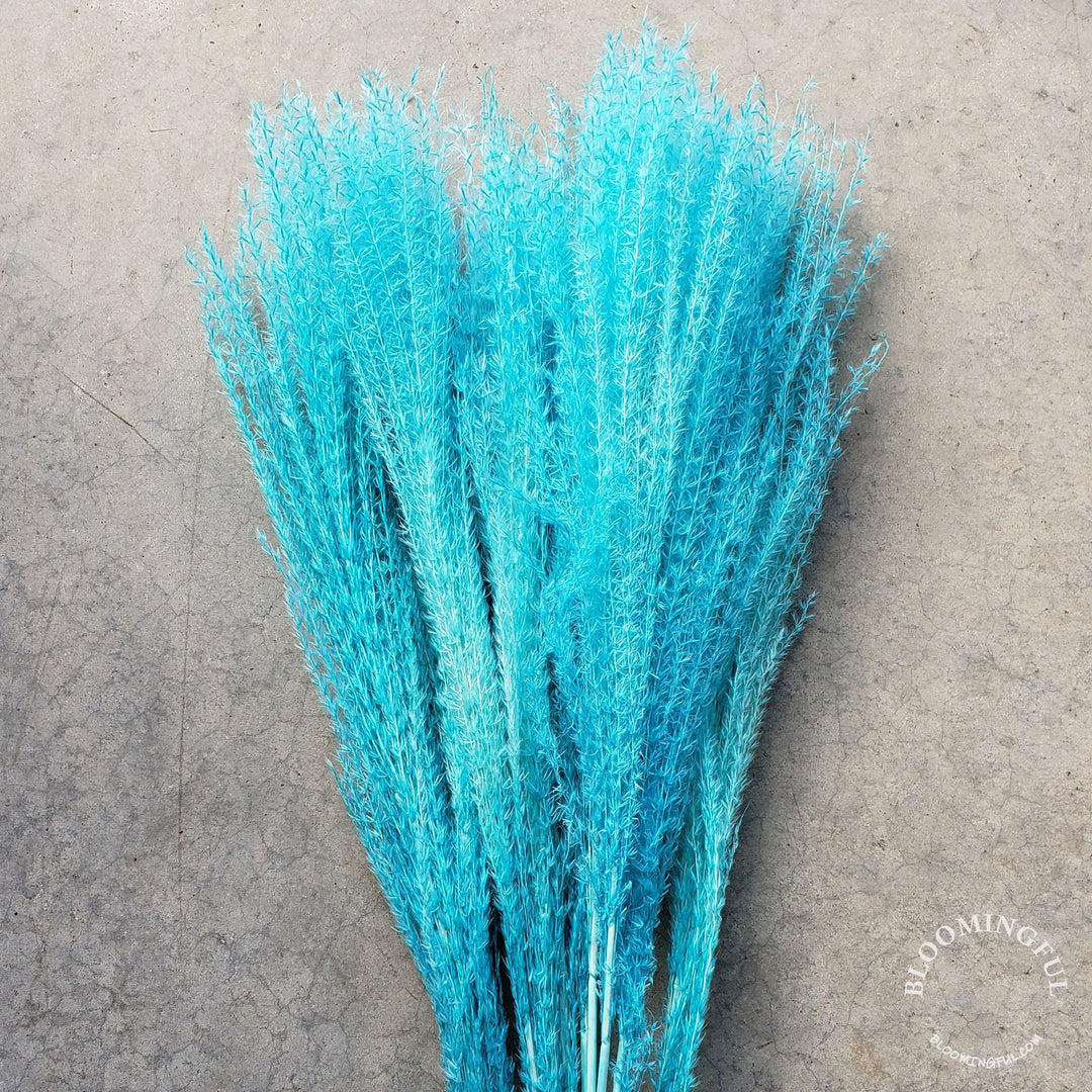 Dried Reed Pampas, Miscanthus Grass - Blue (003) - BLOOMINGFUL - wedding, event, decor, gift, bouquet, arrangement, bridal, garland, fresh dried preserved artificial silk, birthday housewarming foliage