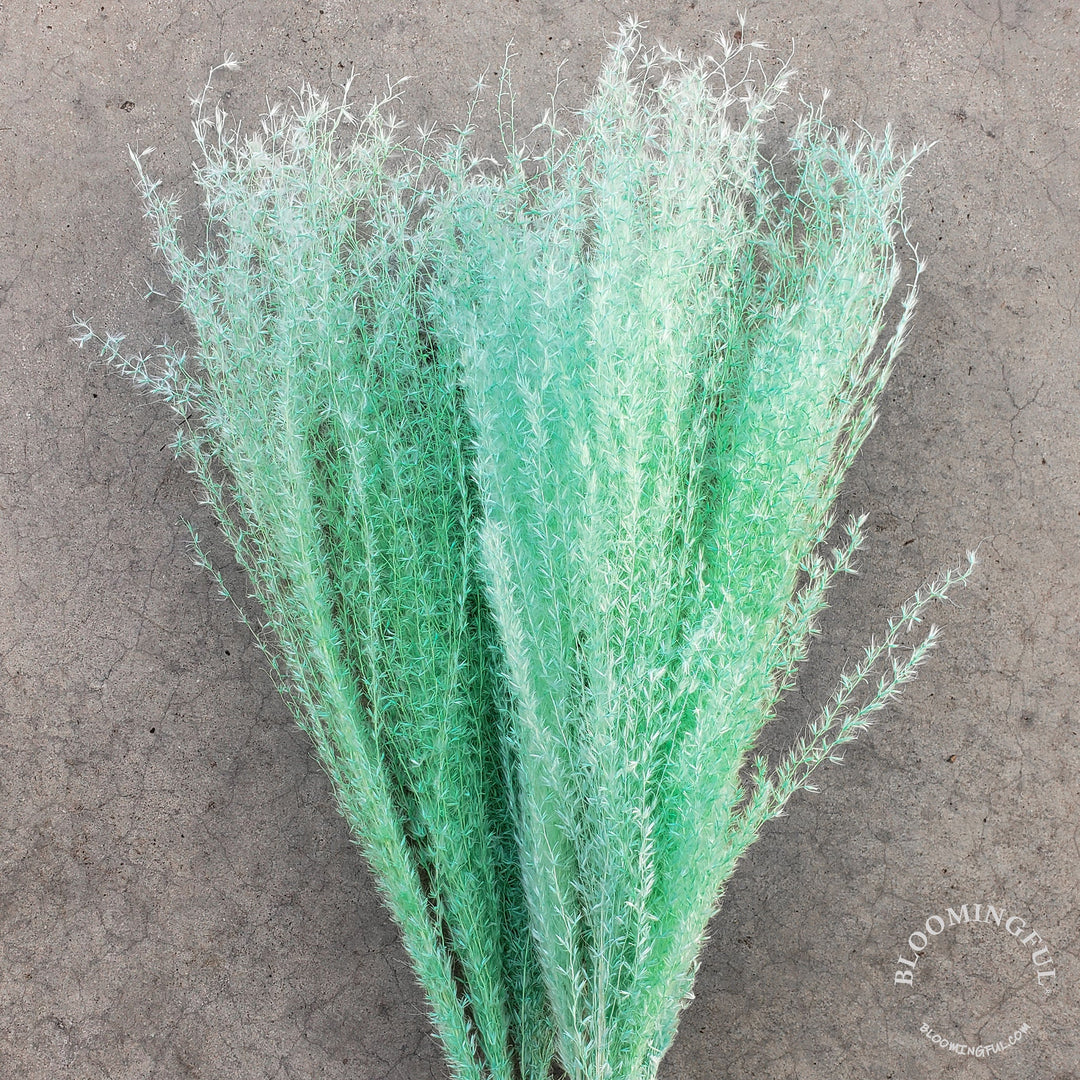 Dried Reed Pampas, Miscanthus Grass - Mint Green (021) - BLOOMINGFUL - wedding, event, decor, gift, bouquet, arrangement, bridal, garland, fresh dried preserved artificial silk, birthday housewarming foliage