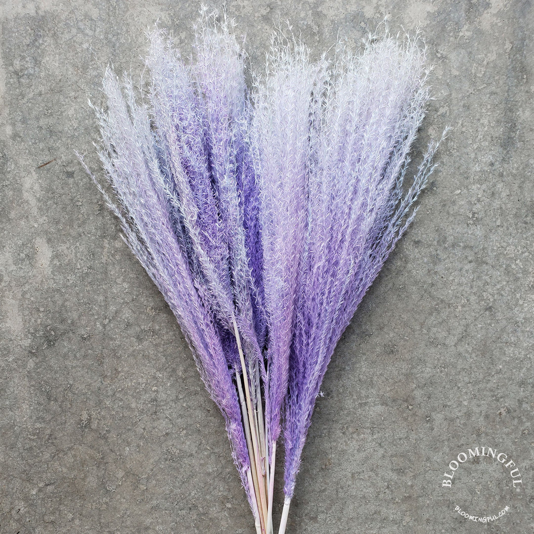 Dried Reed Pampas, Miscanthus Grass - Soft Purple (010) - BLOOMINGFUL - wedding, event, decor, gift, bouquet, arrangement, bridal, garland, fresh dried preserved artificial silk, birthday housewarming foliage