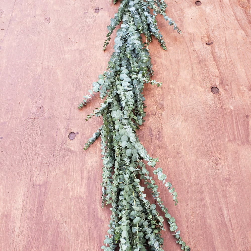 Fresh Baby Blue Spiral Eucalyptus Garland - BLOOMINGFUL - wedding, event, decor, gift, bouquet, arrangement, bridal, garland, fresh dried preserved artificial silk, birthday housewarming foliage