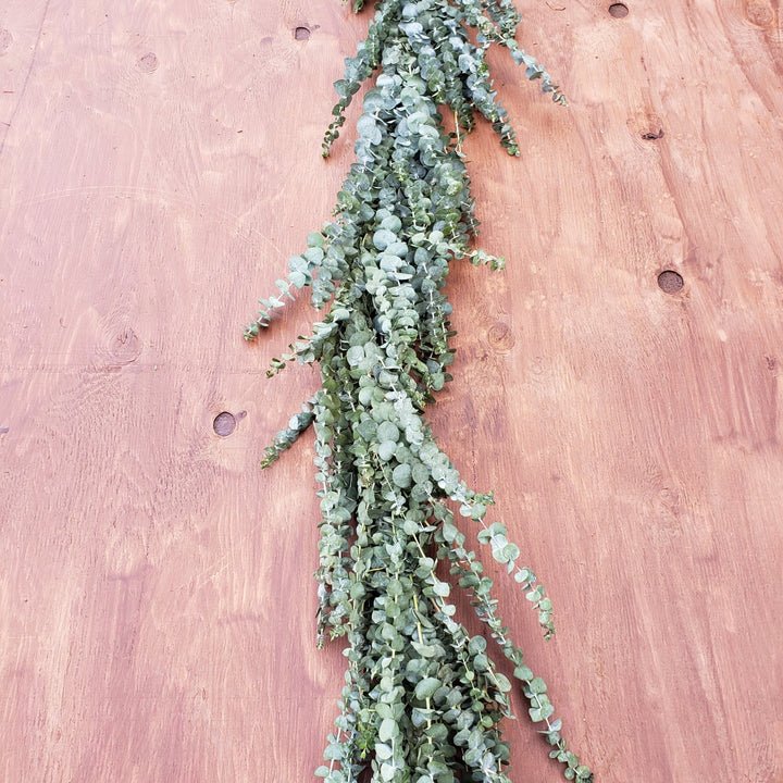 Fresh Baby Blue Spiral Eucalyptus Garland - BLOOMINGFUL - wedding, event, decor, gift, bouquet, arrangement, bridal, garland, fresh dried preserved artificial silk, birthday housewarming foliage