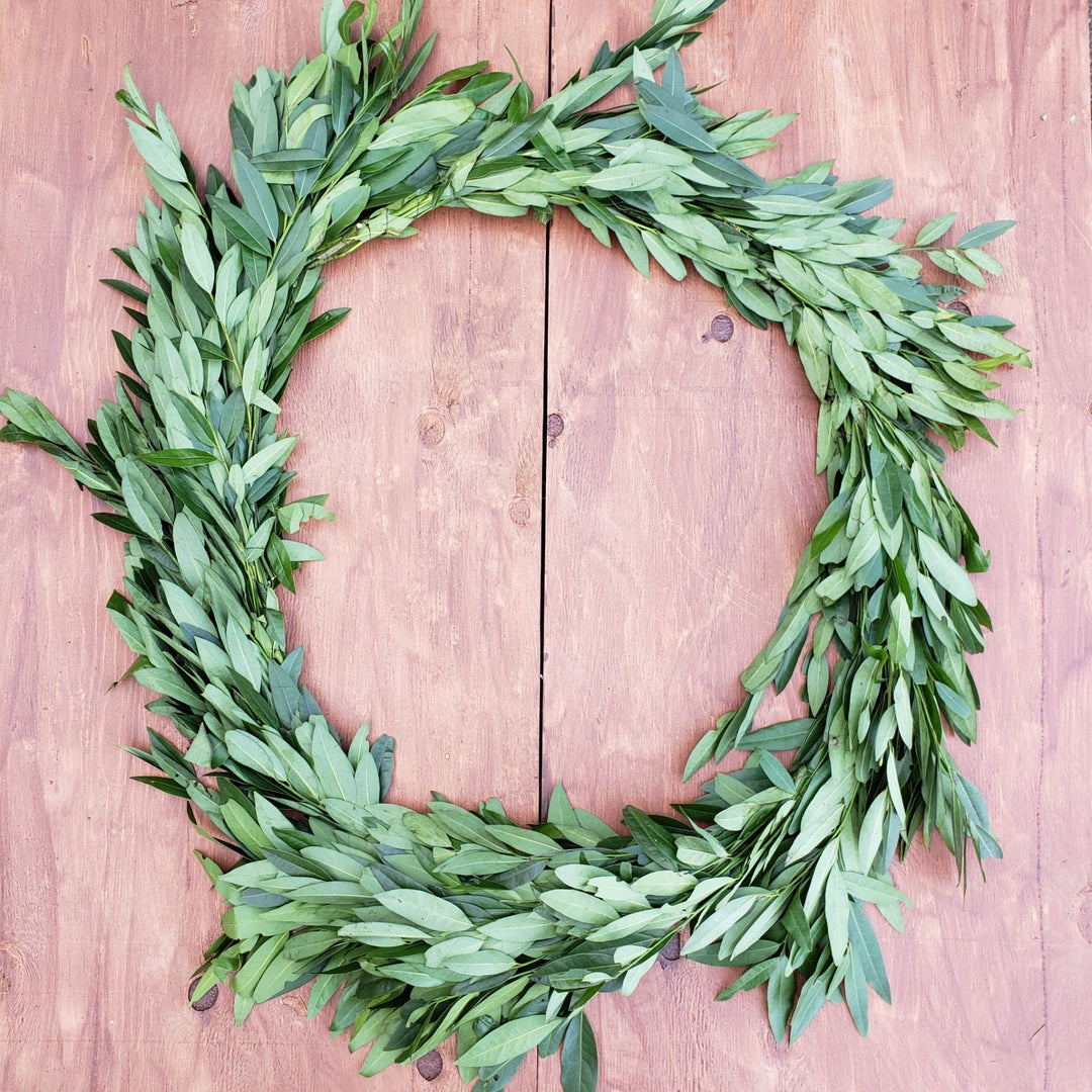 Fresh Bayleaf Garland - BLOOMINGFUL - wedding, event, decor, gift, bouquet, arrangement, bridal, garland, fresh dried preserved artificial silk, birthday housewarming foliage