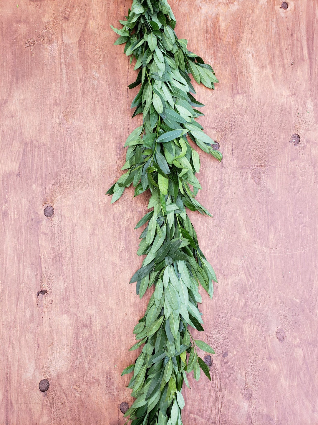 Fresh Bayleaf Garland - BLOOMINGFUL - wedding, event, decor, gift, bouquet, arrangement, bridal, garland, fresh dried preserved artificial silk, birthday housewarming foliage
