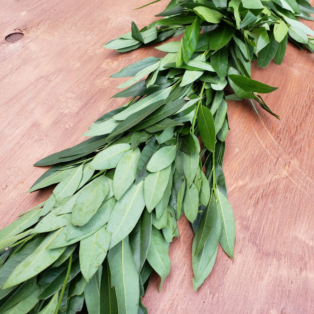 Fresh Bayleaf Garland - BLOOMINGFUL - wedding, event, decor, gift, bouquet, arrangement, bridal, garland, fresh dried preserved artificial silk, birthday housewarming foliage