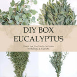Fresh eucalyptus variety collage for a customizable greenery box