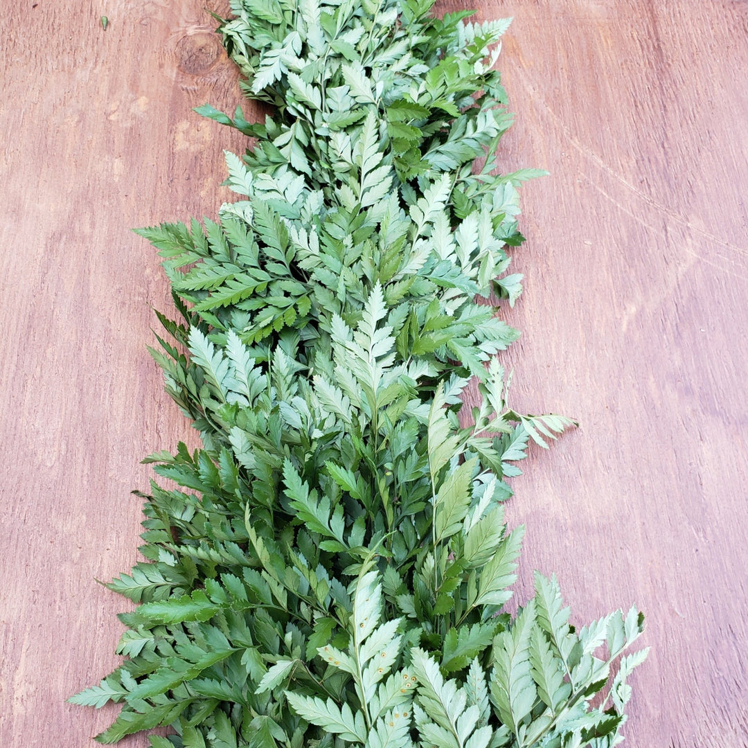 Fresh Leatherleaf Fern Garland - BLOOMINGFUL - wedding, event, decor, gift, bouquet, arrangement, bridal, garland, fresh dried preserved artificial silk, birthday housewarming foliage