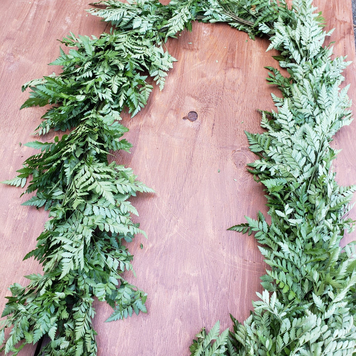 Fresh Leatherleaf Fern Garland - BLOOMINGFUL - wedding, event, decor, gift, bouquet, arrangement, bridal, garland, fresh dried preserved artificial silk, birthday housewarming foliage