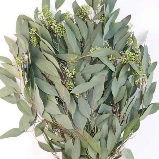 Fresh Greenery + Foliage