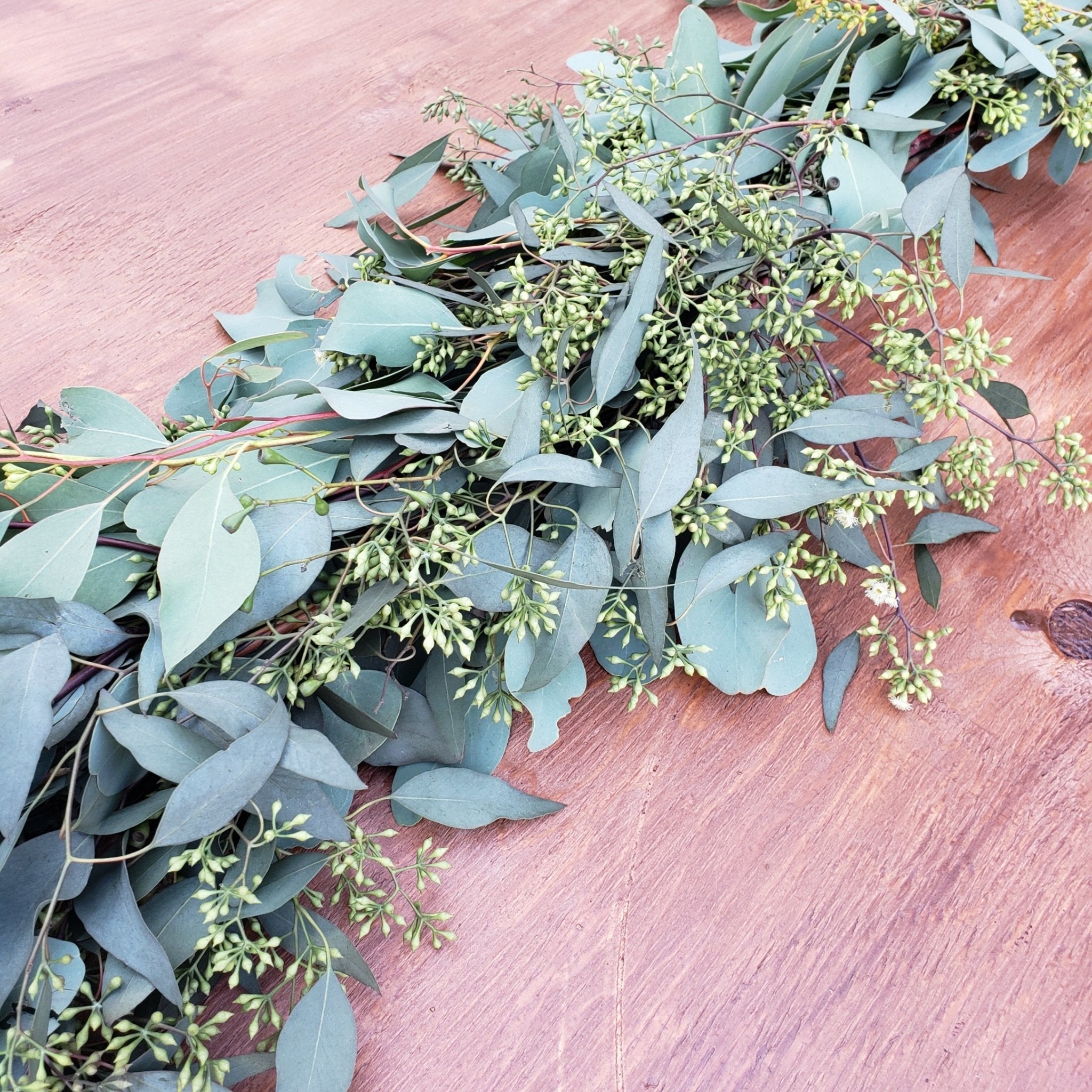 Fresh Silver Dollar + Seeded Eucalyptus Garland - BLOOMINGFUL - wedding, event, decor, gift, bouquet, arrangement, bridal, garland, fresh dried preserved artificial silk, birthday housewarming foliage