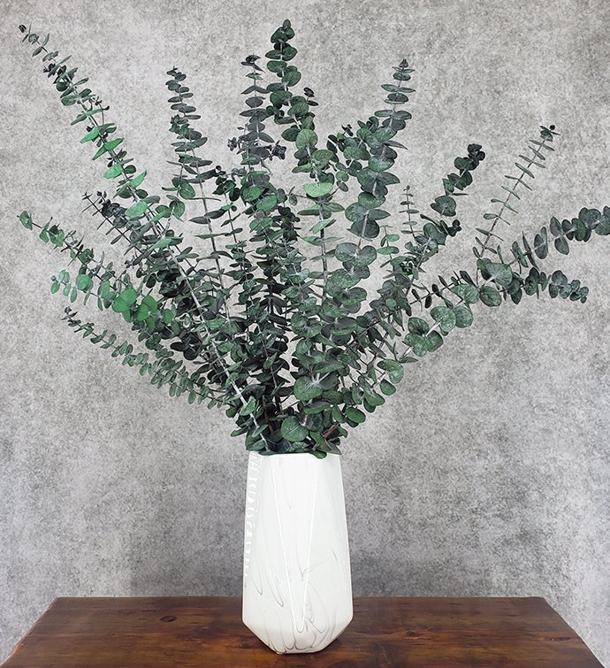 Preserved Baby Blue Spiral Eucalyptus [Frosty Green] - BLOOMINGFUL - wedding, event, decor, gift, bouquet, arrangement, bridal, garland, fresh dried preserved artificial silk, birthday housewarming foliage