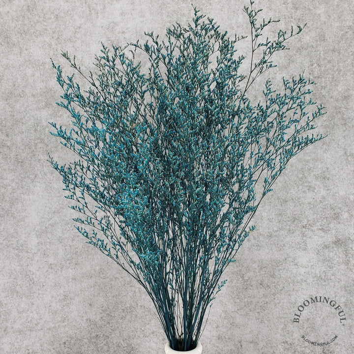 Preserved Caspia Limonium - Blue (002) - BLOOMINGFUL - wedding, event, decor, gift, bouquet, arrangement, bridal, garland, fresh dried preserved artificial silk, birthday housewarming foliage
