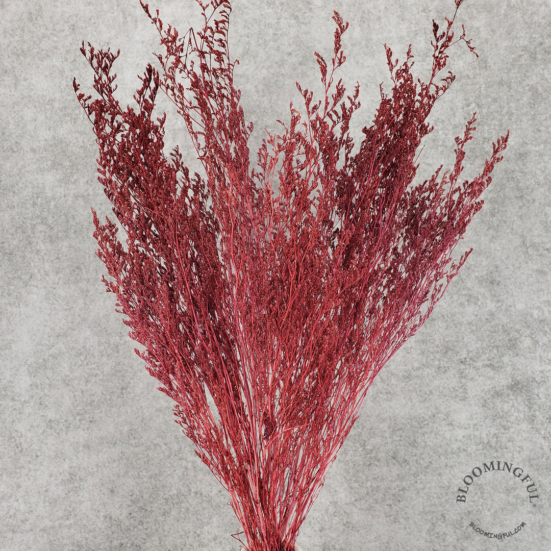 Preserved Caspia Limonium - Burgundy Red (021) - BLOOMINGFUL - wedding, event, decor, gift, bouquet, arrangement, bridal, garland, fresh dried preserved artificial silk, birthday housewarming foliage