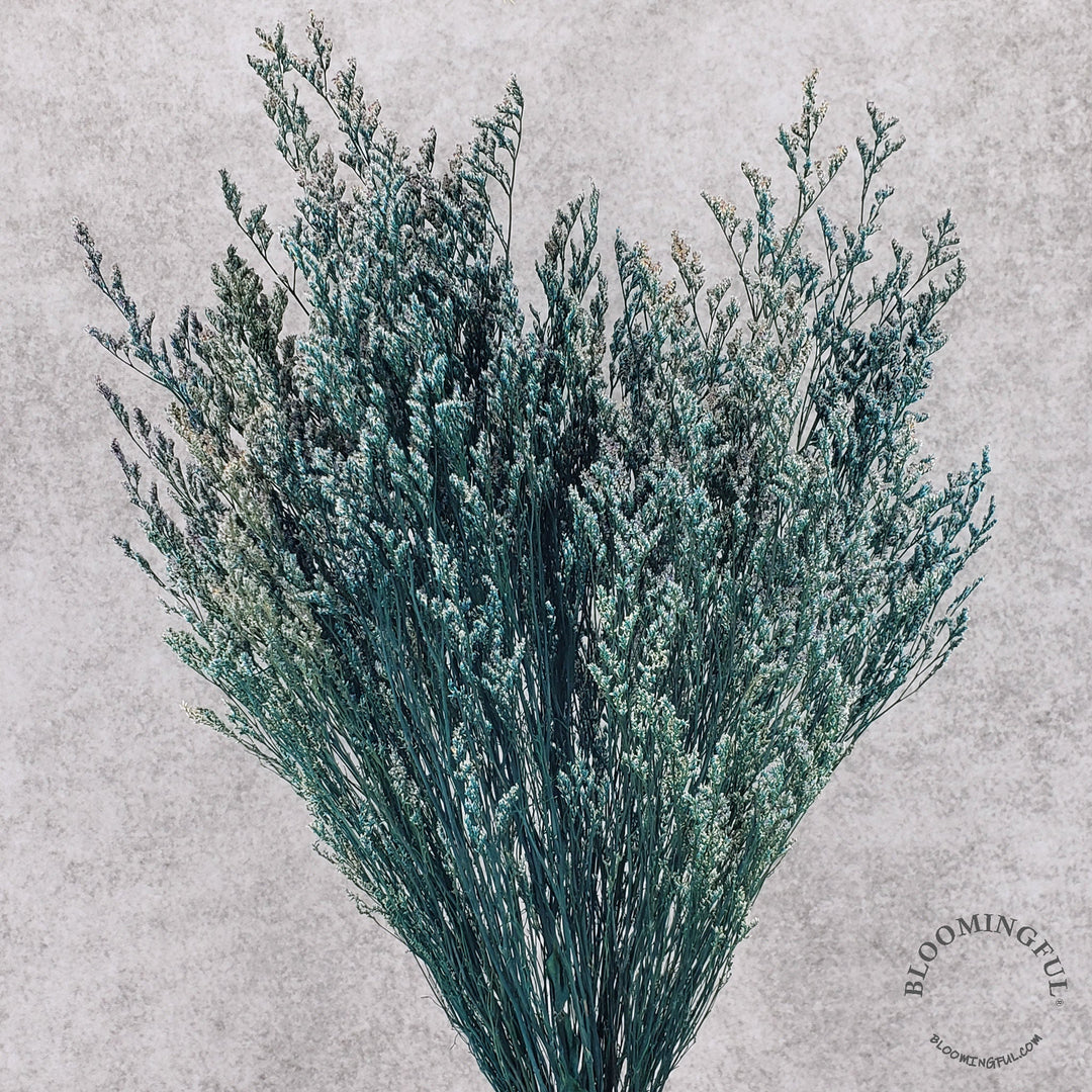 Preserved Caspia Limonium - Hunter Green-Blue (011) - BLOOMINGFUL - wedding, event, decor, gift, bouquet, arrangement, bridal, garland, fresh dried preserved artificial silk, birthday housewarming foliage