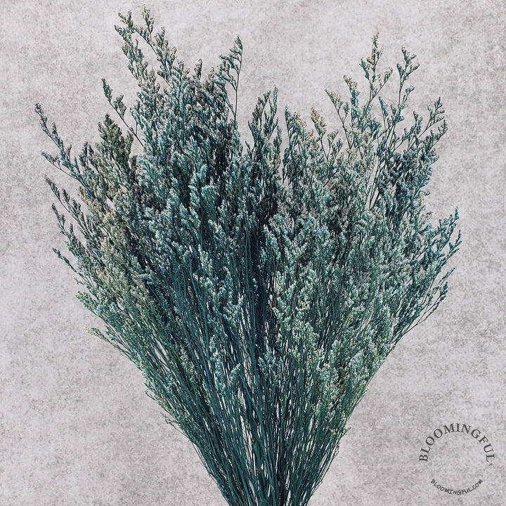 Preserved Caspia Limonium - Hunter Green-Blue (011) - BLOOMINGFUL - wedding, event, decor, gift, bouquet, arrangement, bridal, garland, fresh dried preserved artificial silk, birthday housewarming foliage