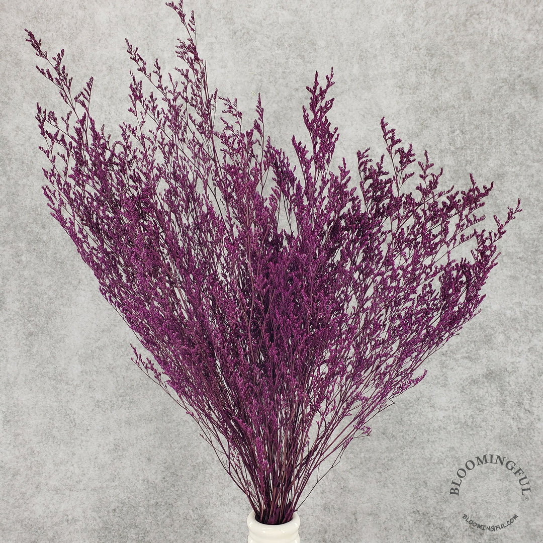 Preserved Caspia Limonium - Magenta Berry (003) - BLOOMINGFUL - wedding, event, decor, gift, bouquet, arrangement, bridal, garland, fresh dried preserved artificial silk, birthday housewarming foliage