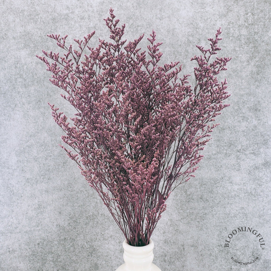 Preserved Caspia Limonium - Pink (009) - BLOOMINGFUL - wedding, event, decor, gift, bouquet, arrangement, bridal, garland, fresh dried preserved artificial silk, birthday housewarming foliage