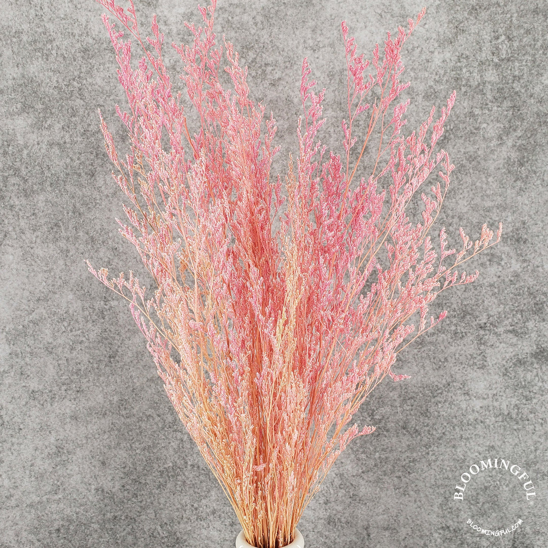 Preserved Caspia Limonium - Pink (017) - BLOOMINGFUL - wedding, event, decor, gift, bouquet, arrangement, bridal, garland, fresh dried preserved artificial silk, birthday housewarming foliage